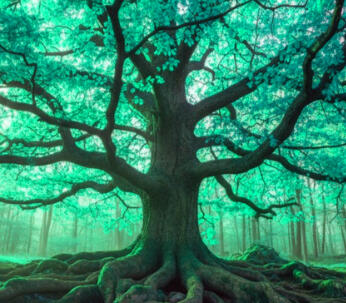 Breathwork